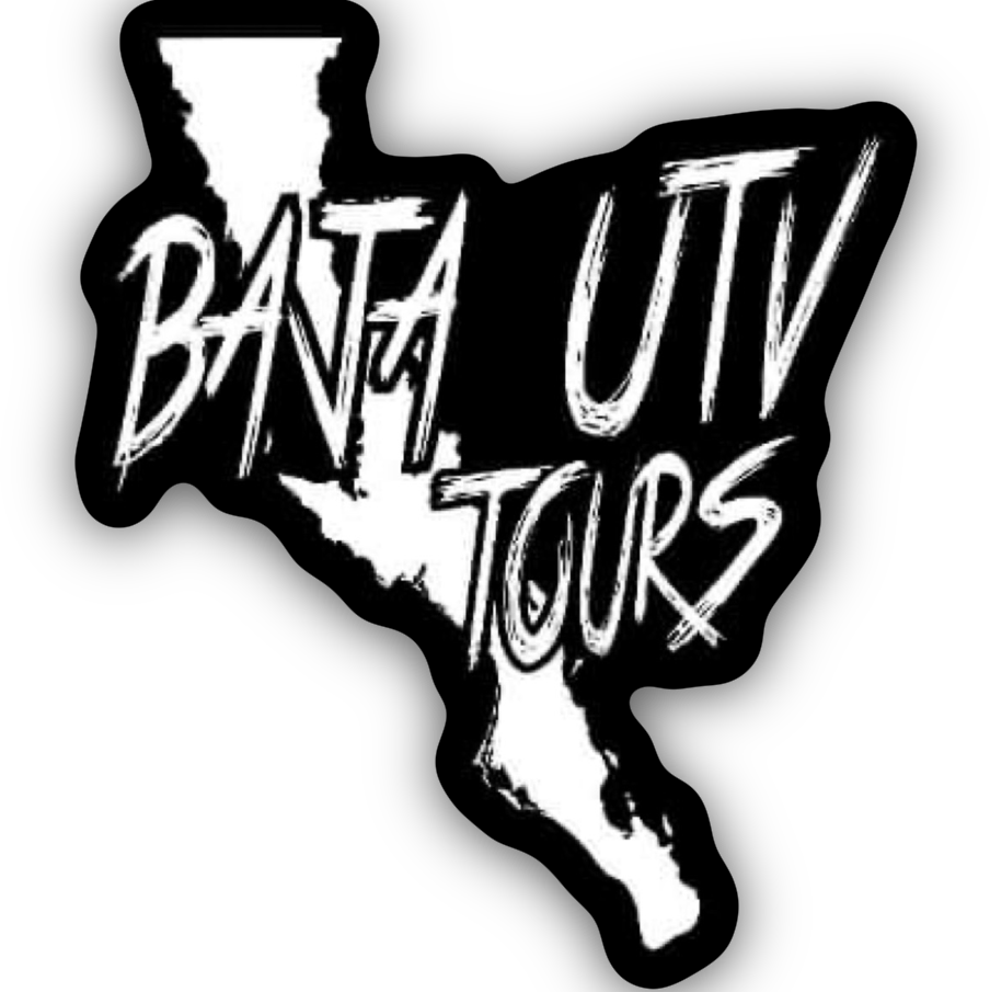 Baja Utv Tours